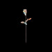 New Musik Radar - As I Am Page Image