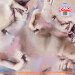 New Musik Radar - Blood Page Image