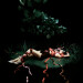 New Musik Radar - Blood And Butter Page Image