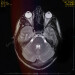 New Musik Radar - Colours Page Image