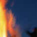 New Musik Radar - Concentrate Page Image