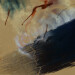 New Musik Radar - Defection Page Image