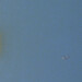 New Musik Radar - fiji Page Image