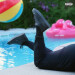 New Musik Radar - Find Out (Boogie) Page Image