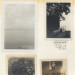 New Musik Radar - Firelight Page Image