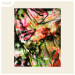 New Musik Radar - follow this Page Image