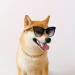 New Musik Radar - Gold Walls Page Image