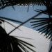 New Musik Radar - Know Me Page Image