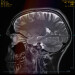 New Musik Radar - Matches Page Image