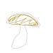 New Musik Radar - Mushroom Boogie 2 Page Image