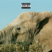 New Musik Radar - NEEDLE IN THE OCEAN Page Image