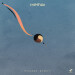 New Musik Radar - Noa Noa Page Image