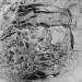 New Musik Radar - Nonkilling 3 | The Anteroom | False Skull 1 Page Image