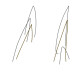 New Musik Radar - Old Sweat Page Image