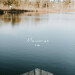 New Musik Radar - petit bird Page Image