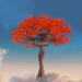 New Musik Radar - Poinciana Page Image