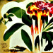 New Musik Radar - PROBLEMZ Page Image
