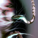 New Musik Radar - SAVIOR Page Image