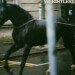 New Musik Radar - Weightless Page Image