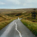 New Musik Radar - The Loop Page Image