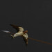New Musik Radar - ABUNDANCE ER’WHERE Page Image