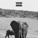 New Musik Radar - IT’S OK Page Image