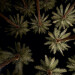 New Musik Radar - Replay This Page Image
