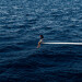 New Musik Radar - SOS Page Image