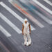 New Musik Radar - Angels in the City Page Image