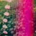 New Musik Radar - Heartstrings Page Image