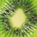 New Musik Radar - KIWI Page Image