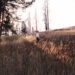 New Musik Radar - Red Moon Page Image
