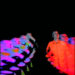 New Musik Radar - Waiting For The Punchline (Swallertrip) Page Image