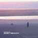 New Musik Radar - Busy Beach Page Image