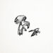 New Musik Radar - Dad’s Suit Page Image