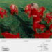 New Musik Radar - Distant Page Image