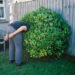 New Musik Radar - Dog Dribble Page Image