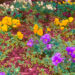 New Musik Radar - Gratitude Gardens Page Image