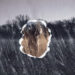 New Musik Radar - Once In A While Page Image