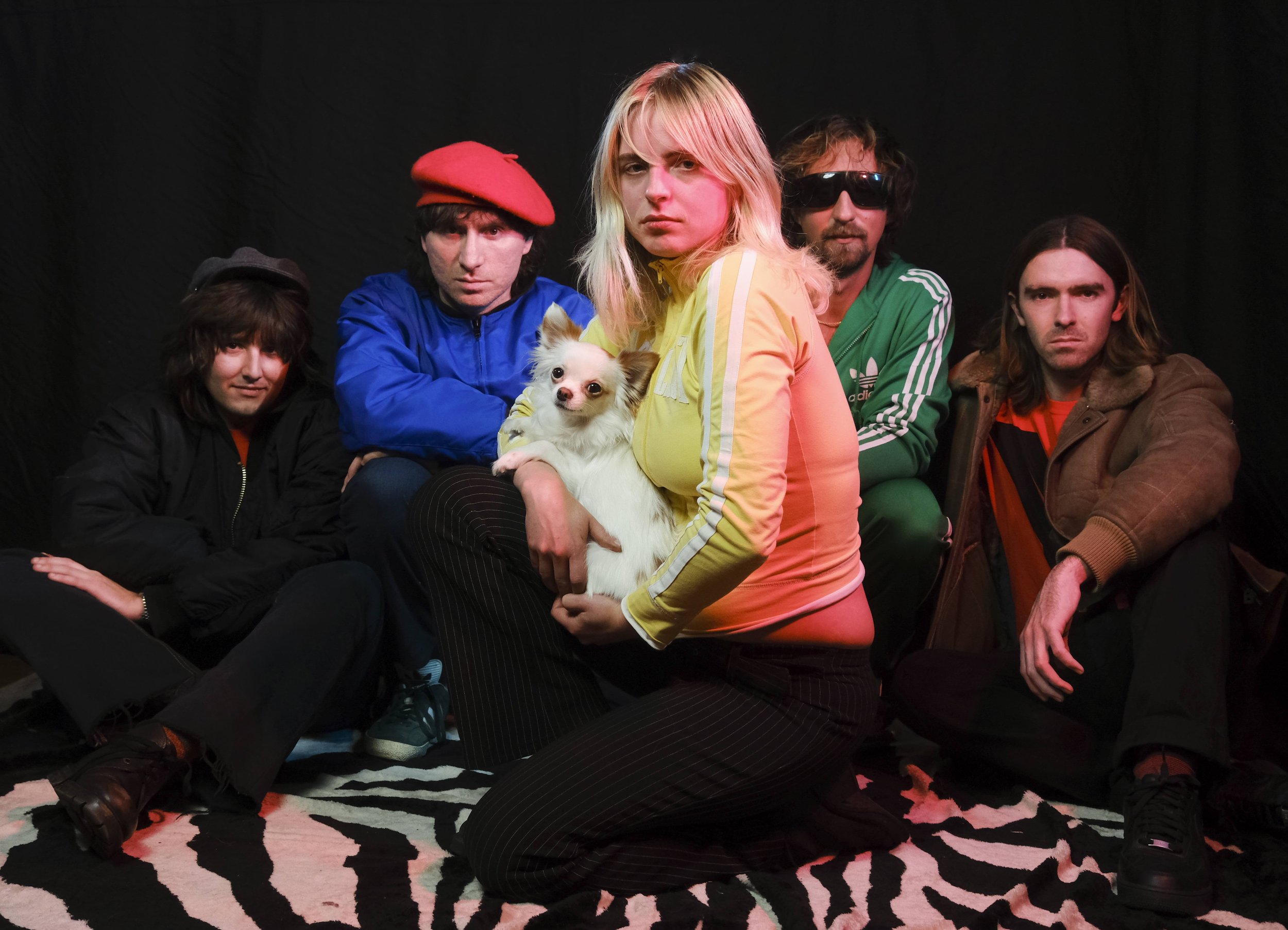 New Musik Radar - Why Page Image