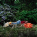 New Musik Radar - Butterflies Page Image