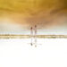 New Musik Radar - Giving It Up Page Image