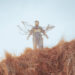 New Musik Radar - Higher Page Image