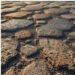 New Musik Radar - I Don’t Care Page Image