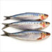 New Musik Radar - Long Sardine x Skinny Love Page Image