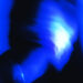 New Musik Radar - Snow Page Image