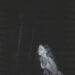 New Musik Radar - Bloodless Page Image
