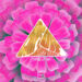 New Musik Radar - Chips Without Dip Page Image