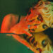 New Musik Radar - Disaster Page Image