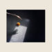 New Musik Radar - Dream Alive Page Image